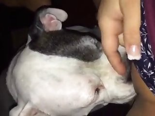 Mei Ling Dog Fuck