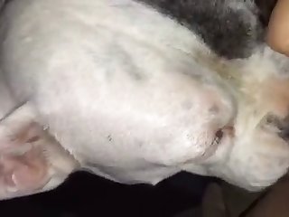 Mei Ling Dog Fuck