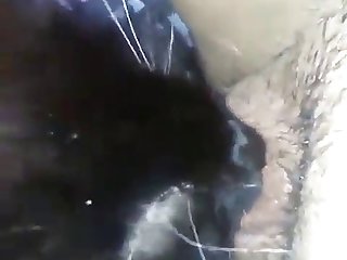 Fuck Of Dog