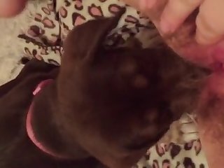 Teen Webcam Dog Fuck