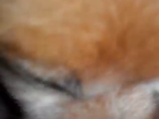 Dog Fuck Amateur Porn