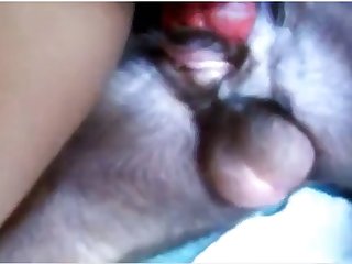 I Want To Fuck A Dog In The Ass