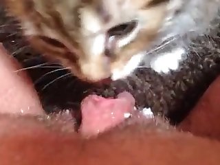 Dog Trained To Fuck Girl