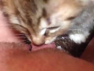 Dog Trained To Fuck Girl