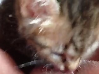 Dog Trained To Fuck Girl