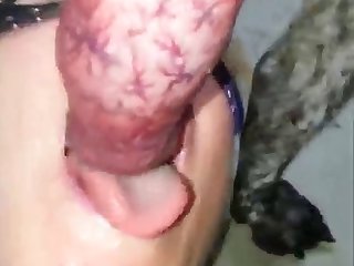 Amateur Asian Fuck Dog