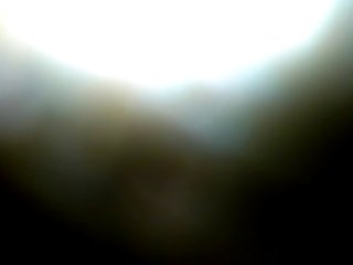 I Wanna Fuck A Dog In The Ass Song