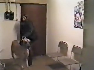 Dog Amateur Fuck