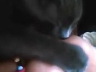 Selfie Fuck Dog