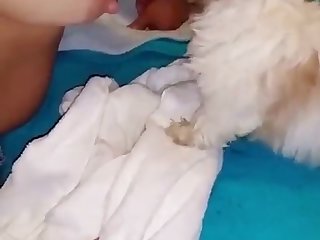 Man Fuck Dog And Cum