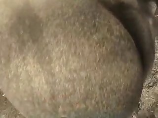 Dog Fuck Woman Twitter