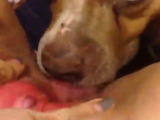 Girl Fuck Dog On Bed