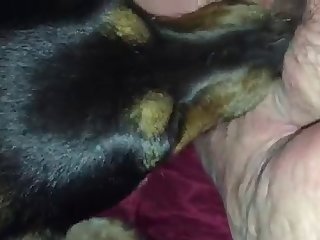 3d Dog Fuck Girl On The Street