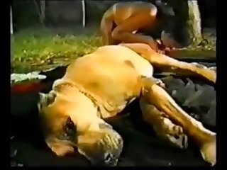 Dog Fuck Busty Woman