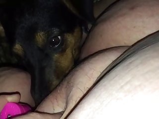 Husband Helps Wife Fuck The Dog