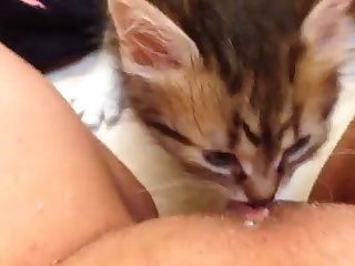 Retard Guy Trying To Fuck His Mom Sister And Dog