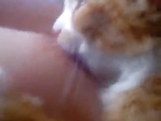 Wife Fuck Dog Tumblr