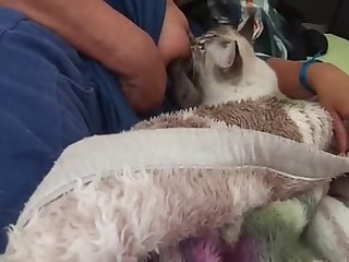 Amateur Dog Fuck Wife