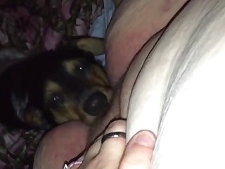 Karina Fuck Dog Porn