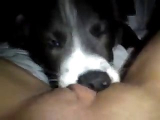 Denise Frazier Fuck With Dog