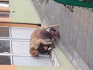 Fuck Dog Sex Video
