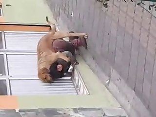 Fuck Dog Sex Video