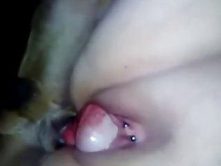 Pamela Dog Fuck