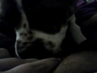 Cartoon Porn Dog Fuck