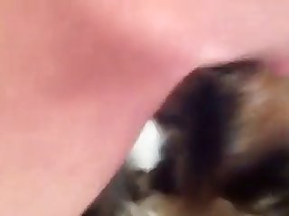 Big Dog Fuck Beautiful Girl