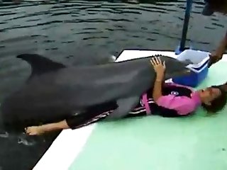 How To Fuck With Dog