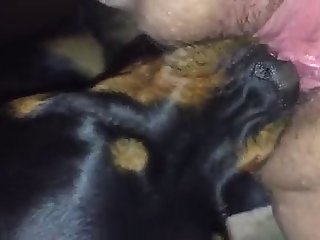 Ada Wong Fuck By Dog