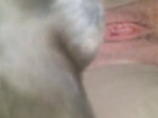 Men Fuck Dog Female