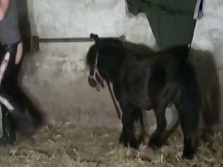 Dog Fuck Girl Naked