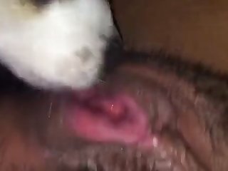 Japanese Girl Forced To Fuck A Dog