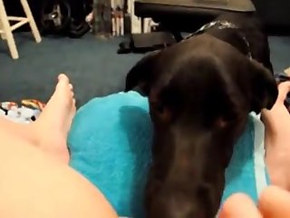 Honey And Star Dog Fuck