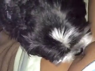 Dog Excited To Fuck Owner