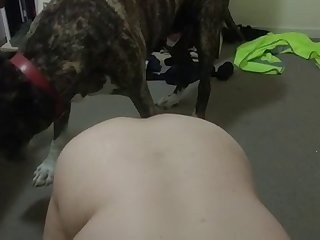 Be A Good Dog While I Fuck Your Wife Taylee Wood