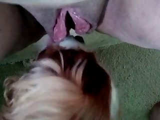 Two Guys Fuck A Dog Porn