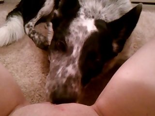 Missionary Dog Fuck Woman