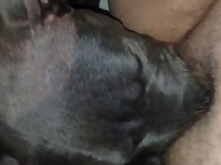 Man And Male Dog Fuck