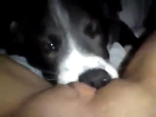 Woman With Dog Fuck