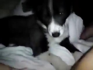 Woman With Dog Fuck