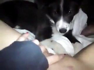 Woman With Dog Fuck