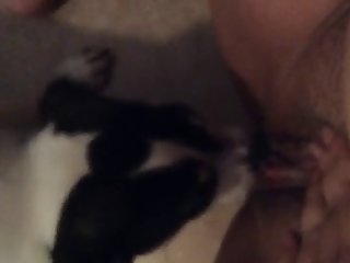 Dog And Girl Fuck Video