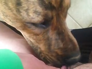 She Fuck With A Dog