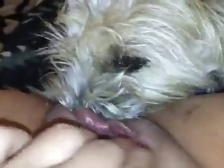 18 Year Old Fuck Dog