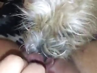 18 Year Old Fuck Dog