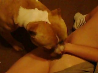 Woman Rides Dog Fuck