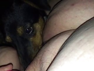 Forced To Fuck A Dog Xxx