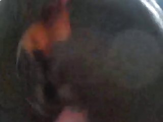 Dog Fuck Girl Big Dick